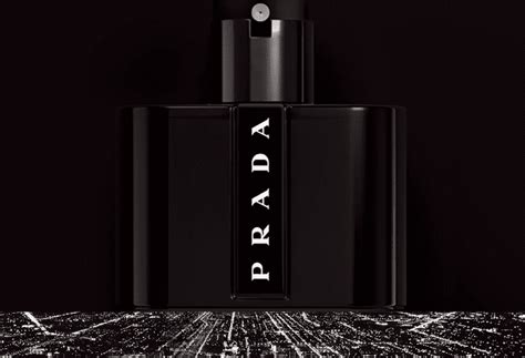 prada black smell like|Prada black perfume reviews.